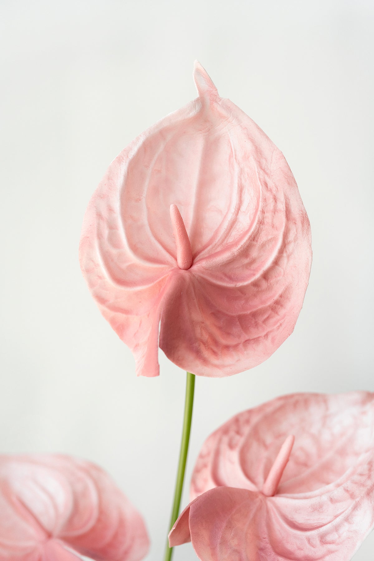 DIY Supporting Flower Boxes in Dusty Rose & Navy