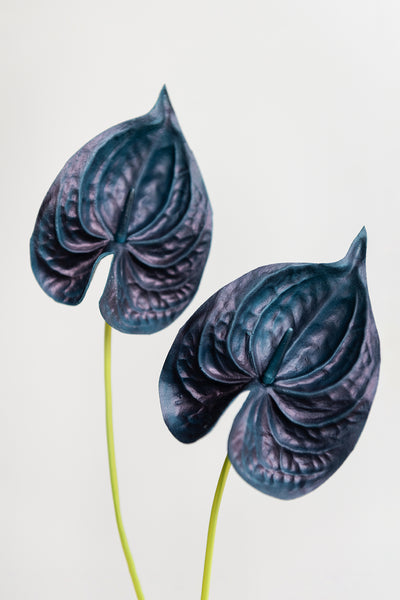 15" Anthurium Flowers with Stem - 5 Colors