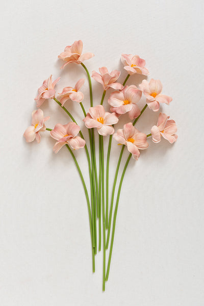 Tulips with Stem